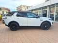 Land Rover Discovery Sport 2.0 TD4 150 Auto Business Edition Pure Weiß - thumbnail 6