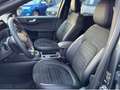 Ford Kuga ST-Line X,1.5 EcoBoost 110kW+DAB+W.Paket Grau - thumbnail 15
