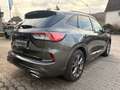 Ford Kuga ST-Line X,1.5 EcoBoost 110kW+DAB+W.Paket Grau - thumbnail 7