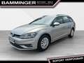 Volkswagen Golf Variant Golf VII Variant Basis Start/Stopp ''8fach bereif Silber - thumbnail 4