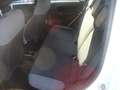 Fiat Panda 1.2 benzina 69cv Blanco - thumbnail 8