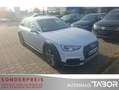 Audi A4 allroad allroad qu. 2.0 TDI S-tronic VirtC AHK B&O - thumbnail 2