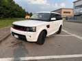 Land Rover Range Rover Sport Range Rover Sport I 2010 3.0 sdV6 SE 249cv auto 8m Bianco - thumbnail 1