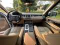 Land Rover Range Rover Sport Range Rover Sport I 2010 3.0 sdV6 SE 249cv auto 8m Bianco - thumbnail 5