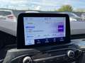 Ford Kuga 2.5 PHEV ST-Line X 225PK Panodak Winterpack Cruise Grijs - thumbnail 25