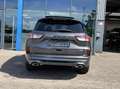 Ford Kuga 2.5 PHEV ST-Line X 225PK Panodak Winterpack Cruise Grijs - thumbnail 12