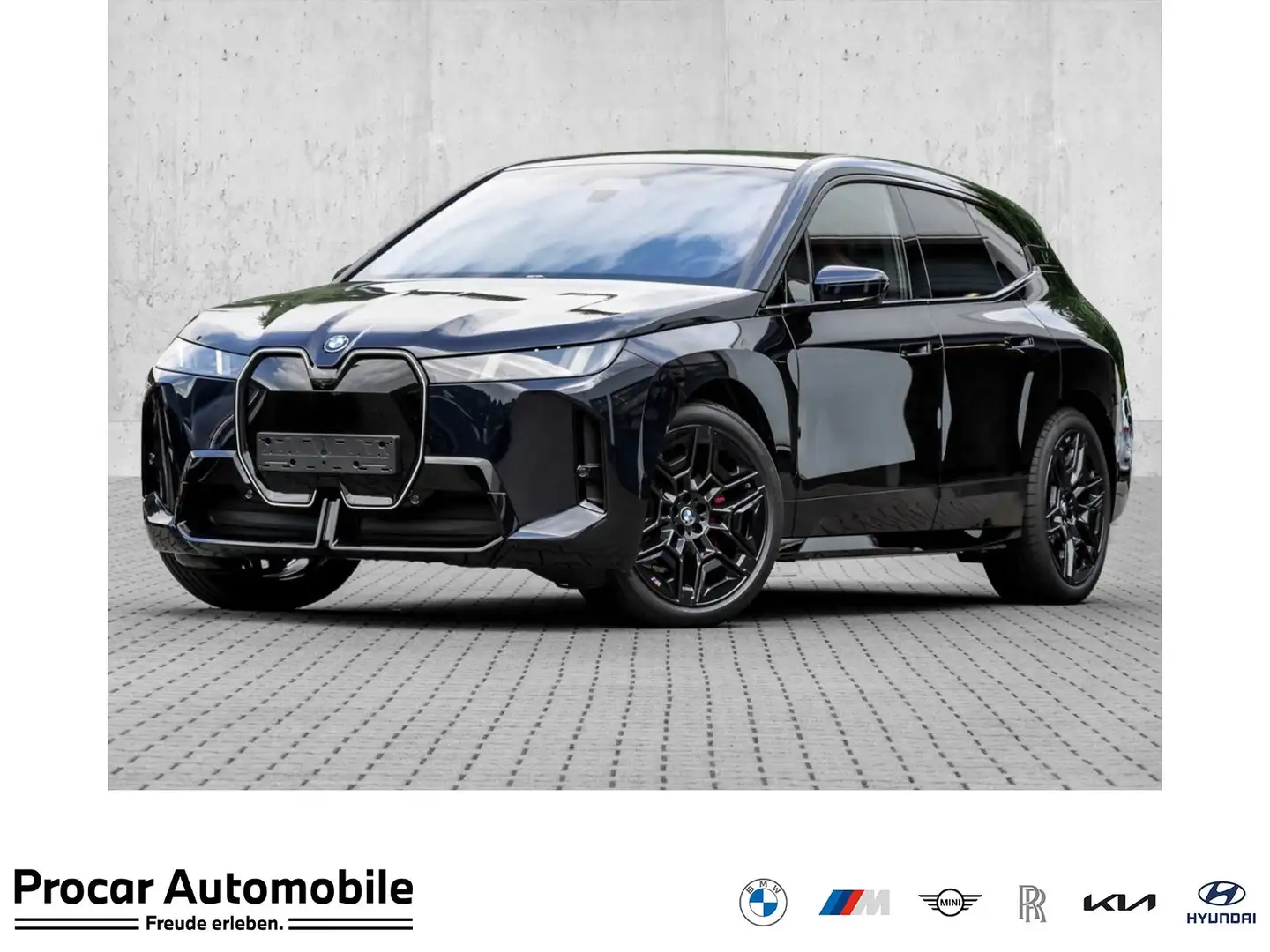 BMW iX xDrive60 M Sport ACC Autobahn Luft AHK Zwart - 1