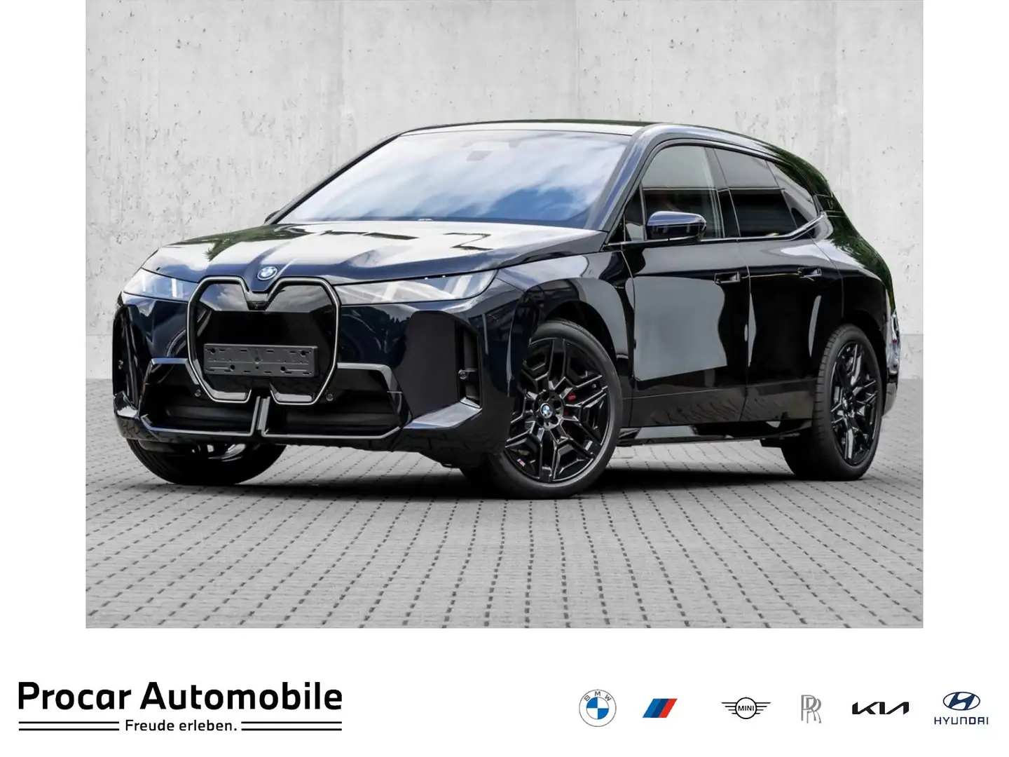BMW iX xDrive60 M Sport ACC Autobahn Luft AHK Zwart - 1