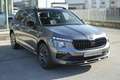 Skoda Kamiq 1.0 tsi Selection 115cv dsg Gris - thumbnail 3