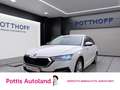 Skoda Octavia Combi 2.0 TDI DSG STYLE AHK NAVI STANDHZG Weiß - thumbnail 1
