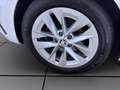Skoda Octavia Combi 2.0 TDI DSG STYLE AHK NAVI STANDHZG Weiß - thumbnail 8