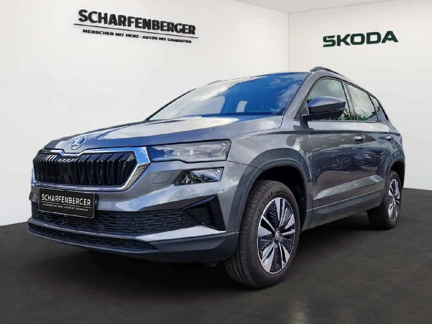 Skoda Karoq Selection TSI DSG *Navi,ACC,LHZ,RFK* Gris - 1