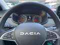 Dacia Jogger Expression TCe 110 Nav, AHV, Grau - thumbnail 10