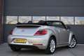 Volkswagen Beetle Cabriolet 1.2 TSI Design BlueMotion Navi - Camera Grijs - thumbnail 5