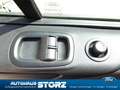 Ford Transit Custom Kombi 320 L1 Trend|9 SITZE|AHK|FREI Plateado - thumbnail 13