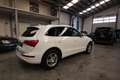 Audi Q5 2,0 TDI  Quattro 2x S - Line Weiß - thumbnail 3