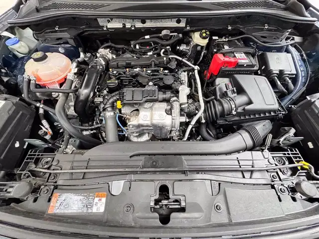 Ford Kuga view 12