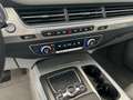 Audi Q7 3.0 tdi Business Plus quattro tiptronic Bianco - thumbnail 14