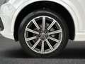 Audi Q7 3.0 tdi Business Plus quattro tiptronic Bianco - thumbnail 17