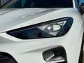 CUPRA Terramar 2.0 TSI 195kW VZ DSG 4Drive Blanco - thumbnail 4