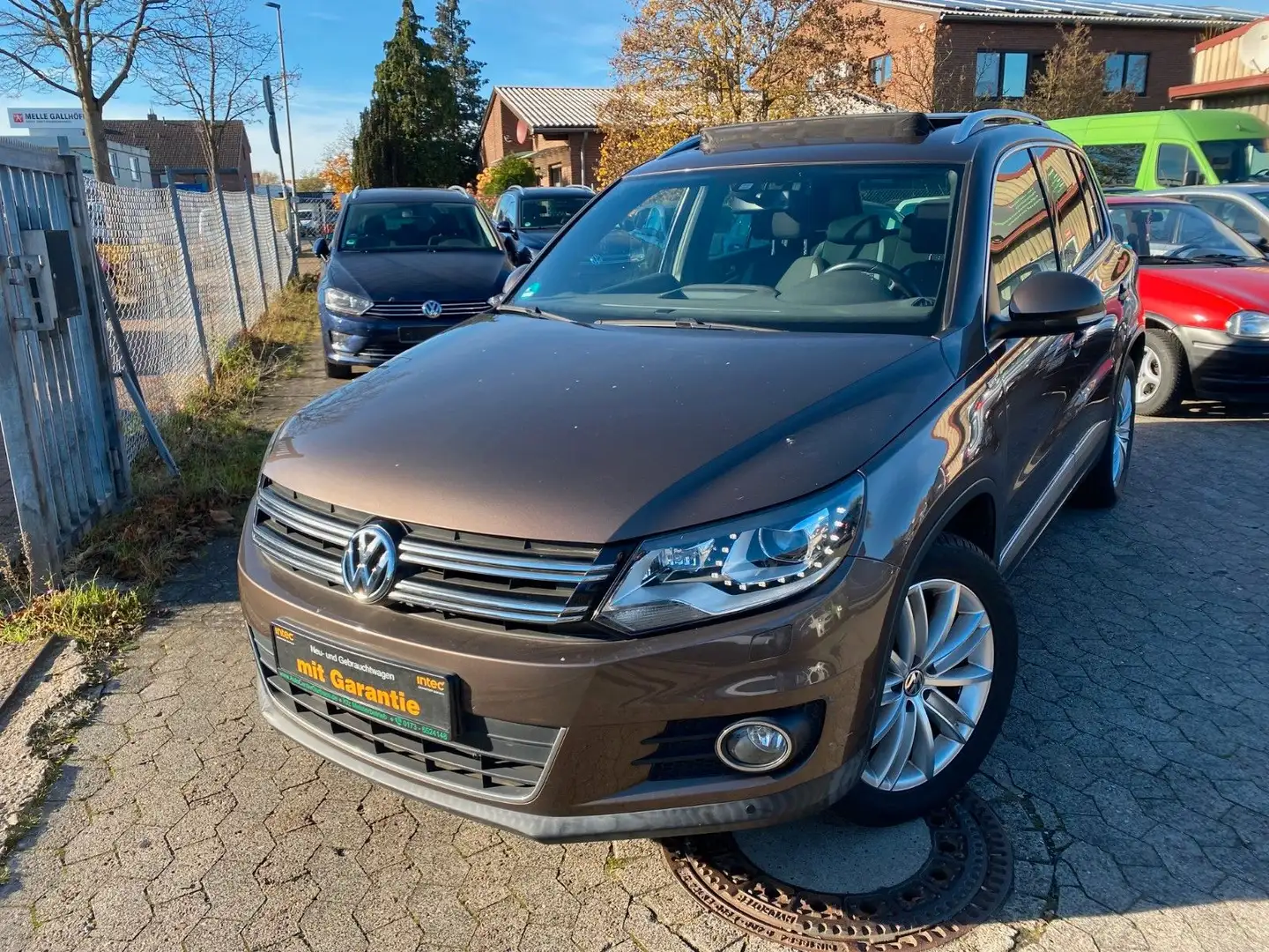 Volkswagen Tiguan Life BMT Braun - 1