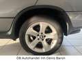 BMW X5 3.0d Sportpaket Leder Navi Xenon Pano SHZ AHK Grau - thumbnail 15