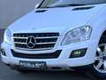 Mercedes-Benz ML 300 CDI BlueEFFICIENCY*PDC*XENON*NAV*GARANTIE Blanc - thumbnail 5