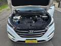 Hyundai TUCSON Tucson 1.7 crdi 2wd 115cv Weiß - thumbnail 18