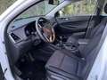 Hyundai TUCSON Tucson 1.7 crdi 2wd 115cv Weiß - thumbnail 13