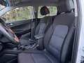 Hyundai TUCSON Tucson 1.7 crdi 2wd 115cv Weiß - thumbnail 17