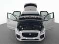 Jaguar E-Pace P300e R-Dynamic S AWD *Memory/SHZ/ACC* Gris - thumbnail 13