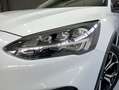 Ford Focus 1.0 Ecoboost MHEV Active 125 Aut. Blanc - thumbnail 9
