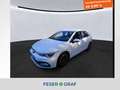 Volkswagen Golf VIII Active 1.5 TSI 6-Gang AHK KAMERA Weiß - thumbnail 1