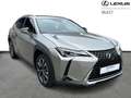 Lexus UX 250h Business Line Plus + CARPLAY Oro - thumbnail 16
