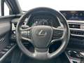 Lexus UX 250h Business Line Plus + CARPLAY Oro - thumbnail 8