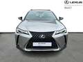 Lexus UX 250h Business Line Plus + CARPLAY Oro - thumbnail 5
