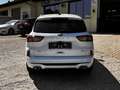 Ford Kuga Kuga 2,5 PHEV ST-LINE, Rückfahrkamara Weiß - thumbnail 7