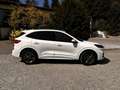 Ford Kuga Kuga 2,5 PHEV ST-LINE, Rückfahrkamara Weiß - thumbnail 4
