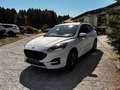 Ford Kuga Kuga 2,5 PHEV ST-LINE, Rückfahrkamara Weiß - thumbnail 3