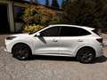 Ford Kuga Kuga 2,5 PHEV ST-LINE, Rückfahrkamara Weiß - thumbnail 6