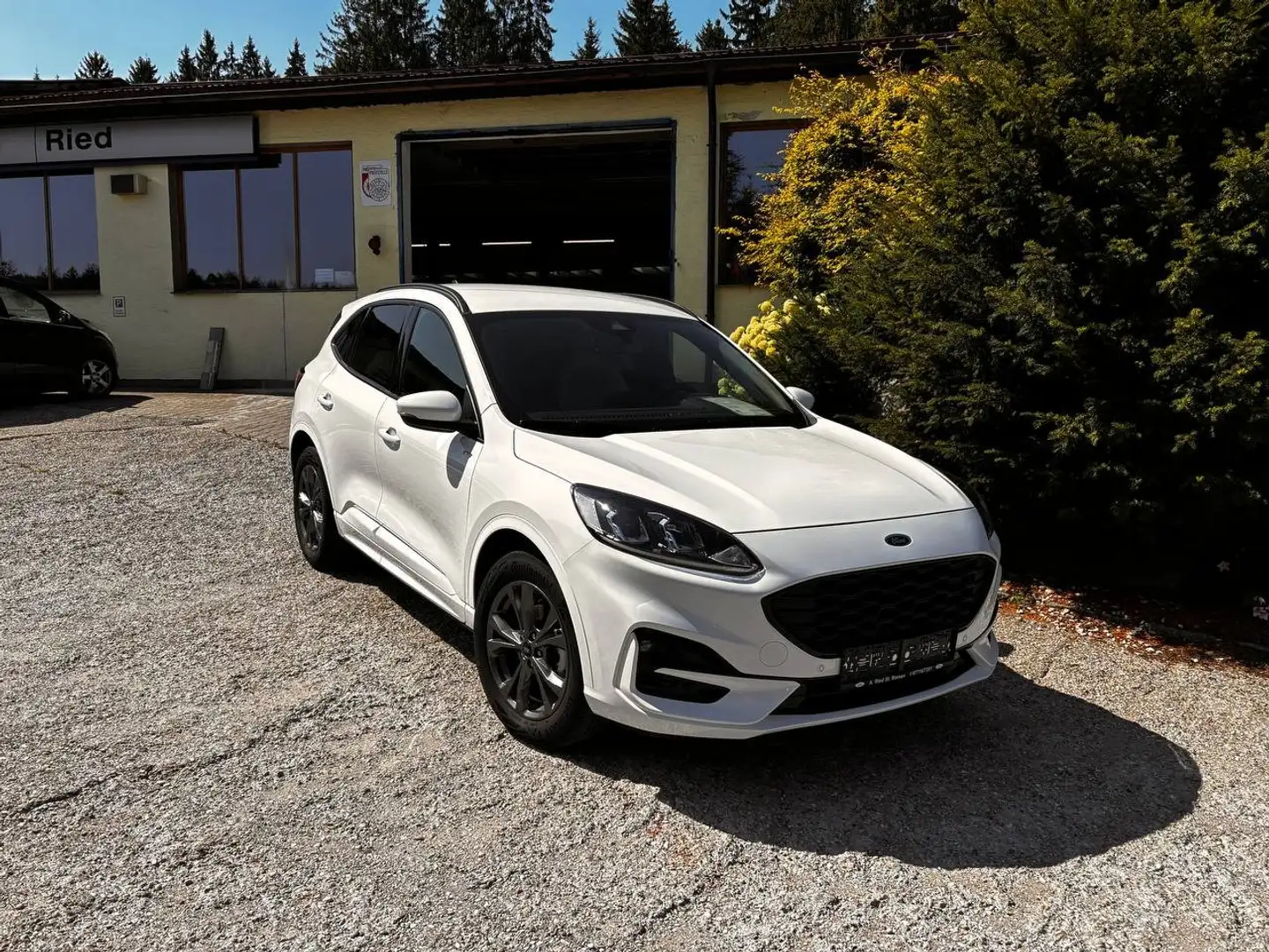 Ford Kuga Kuga 2,5 PHEV ST-LINE, Rückfahrkamara Weiß - 1