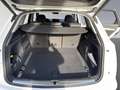 Audi Q5 40 TDI quattro advanced Luftfahrwerk, Navigatio, Massage Weiß - thumbnail 19