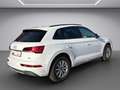 Audi Q5 40 TDI quattro advanced Luftfahrwerk, Navigatio, Massage Weiß - thumbnail 5