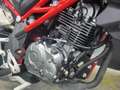 Benelli - thumbnail 5