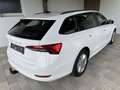 Skoda Octavia 2,0 TDI DSG-LED-AHV-VIRTUAL COCKPIT-SHZ-TEMPOMA... Weiß - thumbnail 6
