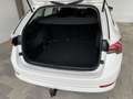 Skoda Octavia 2,0 TDI DSG-LED-AHV-VIRTUAL COCKPIT-SHZ-TEMPOMA... Weiß - thumbnail 9