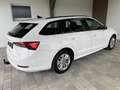 Skoda Octavia 2,0 TDI DSG-LED-AHV-VIRTUAL COCKPIT-SHZ-TEMPOMA... Weiß - thumbnail 8