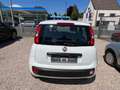 Fiat Panda Pop*TÜV NEU*1 HAND*KLIMA*SEHR SAUBER* Blanc - thumbnail 4