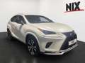 Lexus NX 300h 2.5 Hybrid Style Edition LED SHZ Weiß - thumbnail 2