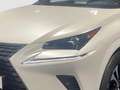 Lexus NX 300h 2.5 Hybrid Style Edition LED SHZ Weiß - thumbnail 7